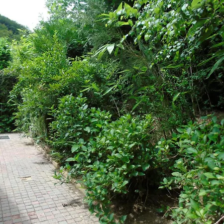 Maison L'hirondelle Rustique A Holiday home *