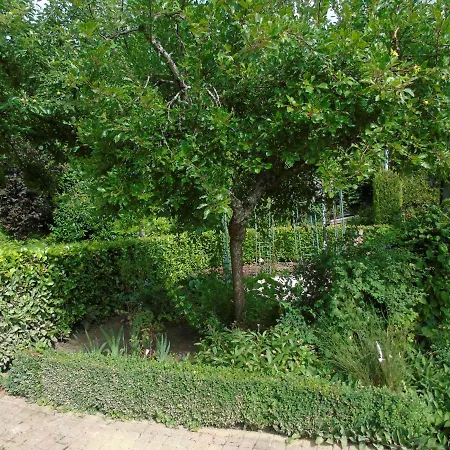 Maison L'hirondelle Rustique A * Tournavaux