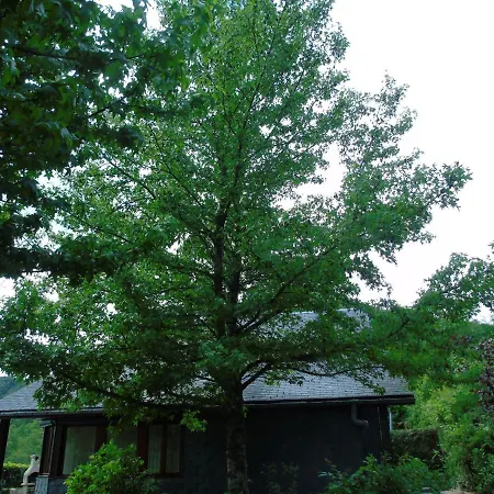 Maison L'hirondelle Rustique à Tournavaux