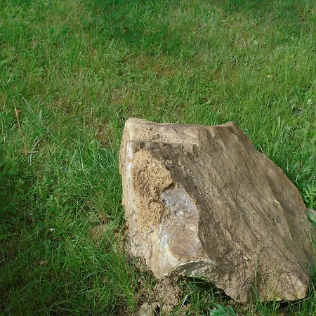 Hébergement de vacances Maison L'hirondelle Rustique à *