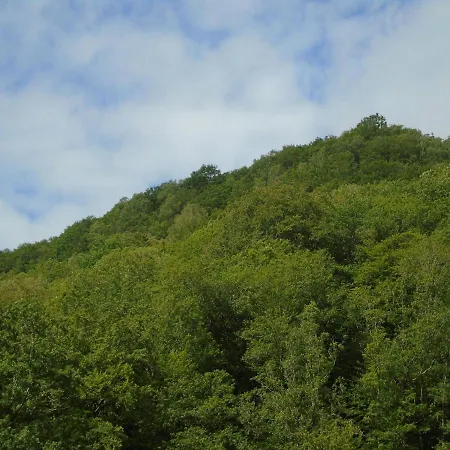 Maison L'hirondelle Rustique à Tournavaux